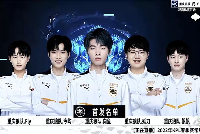 ropz 在 Vitality 中：“我们在关键时刻依靠胜利，这就是我在这里的原因”